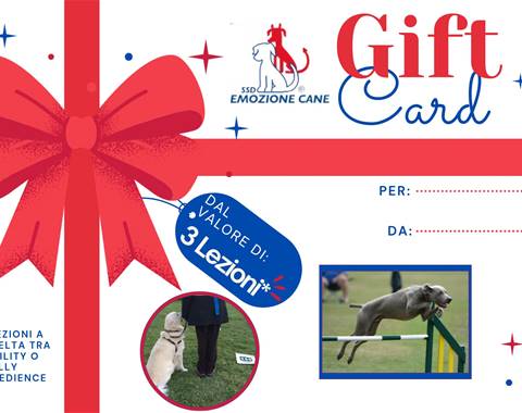 Sorprendi chi ami con la nostra Gift Card